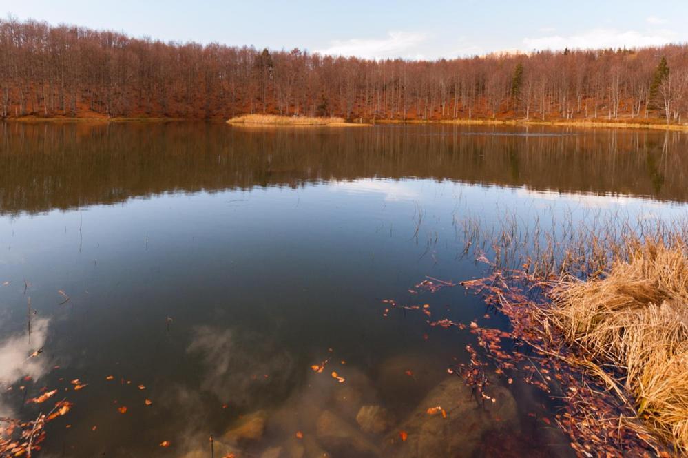 Viandanti, Artisti E Sognatori Panzió Comano  Kültér fotó